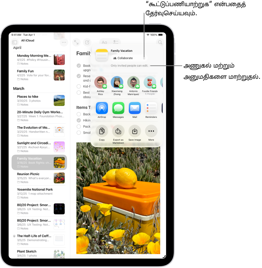 “குறிப்புகள்” செயலியில் சரிபார்ப்புப் பட்டியலில் கூட்டுப்பணியாற்றுவதற்கான அழைப்பு காட்டப்பட்டுள்ளது. அதில் “கூட்டுப்பணியாற்றுக” என்ற பகிர்வு விருப்பமும், அணுகல் மற்றும் அனுமதி அமைப்பு “நீங்கள் அழைக்கும் நபர்கள் மட்டுமே திருத்த முடியும்” என அமைக்கப்பட்டிருப்பதும் காட்டப்பட்டுள்ளன. ஒரு குழு உட்பட நான்கு சாத்தியமான பெறுநர்களுக்குக் கீழே ஒரு வரிசை உருவாக்கப்படும். குறிப்பைப் பகிர்வதற்கான பல்வேறு வழிகளை அடுத்த வரிசை வழங்கும்: AirDrop, மெசேஜஸ், Mail, நினைவூட்டல்கள் ஆகியவை காட்டப்பட்டுள்ளன. கடைசி வரிசையில் குறிப்பை நகலெடுக்க, எக்ஸ்போர்ட் செய்ய மற்றும் சேமிக்க பட்டன்கள் காட்டப்பட்டுள்ளன.