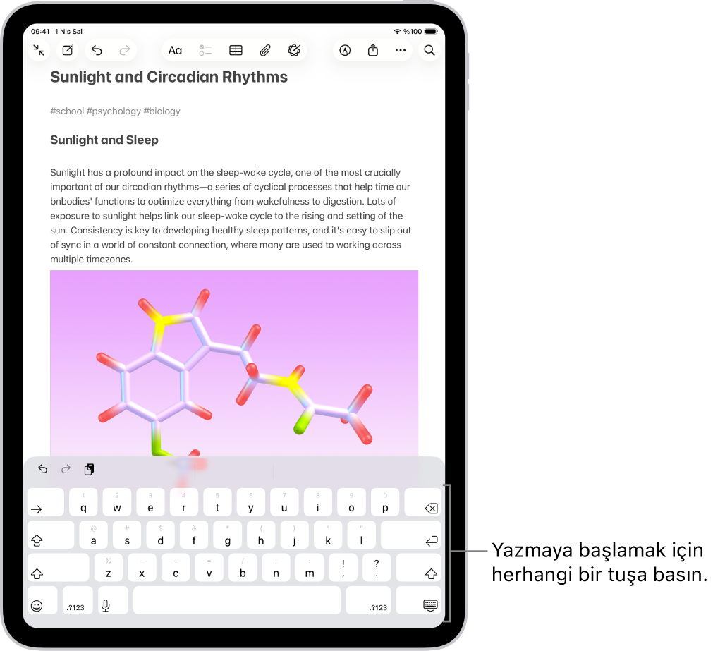 Notlar uygulamasında bir belge açık. Ekran klavyesi ekranın alt yarısında.