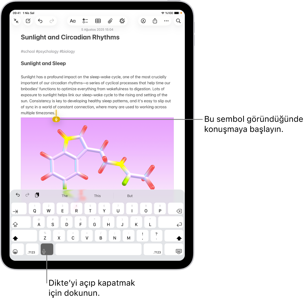 Notlar uygulamasında ekran klavyesi açık. Klavyenin en altında Dikte düğmesi seçili ve metin alanındaki ekleme noktasının altında Dikte düğmesi görünüyor.