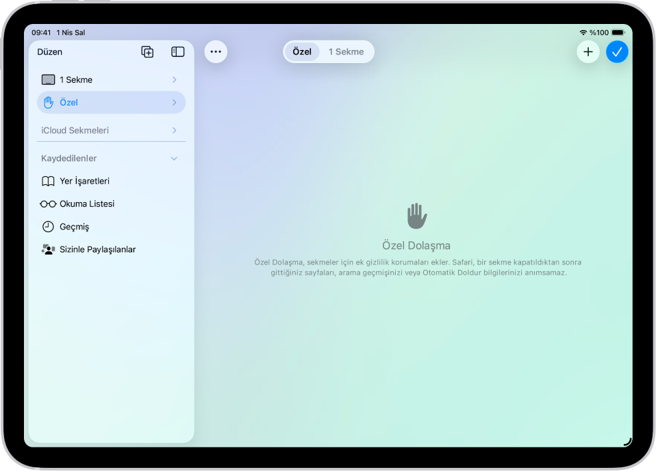 Safari penceresinin sol tarafındaki Safari kenar çubuğu açık ve Özel seçili. Sağ tarafta, Safari’nin dolaşma etkinliklerinizi anımsamayacağına dair bir açıklama var.