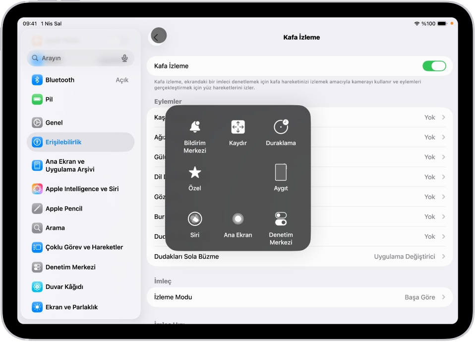 Kafa izlemenin açık olduğu bir iPad. Bildirim Merkezi, Kaydır, Duraklama, Aygıt, Denetim Merkezi, Ev, Siri ve Özel denetimlerini gösteren AssistiveTouch menüsü görünüyor.