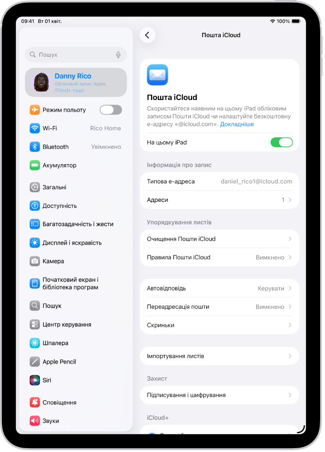 У програмі «Параметри» відкрито екран Пошти iCloud. Пункт «Власний домен е-пошти» — унизу меню.