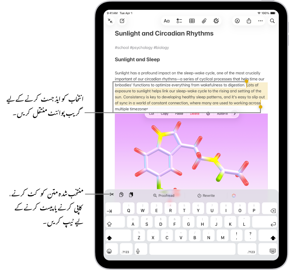 متن نوٹ ایپ میں نوٹ میں منتخب کیا گیا ہے۔ منتخب کردہ متن کے اوپر بٹن کا مینو ہے جس میں کٹ کریں، کاپی کریں اور پیسٹ کریں بٹن شامل ہیں۔ منتخب کردہ متن کو ہائی لائٹ کیا گیا ہے، جس کے دونوں سرے پر انتخاب کو ایڈجسٹ کرنے کے لیے گریب پوائنٹ ہیں۔