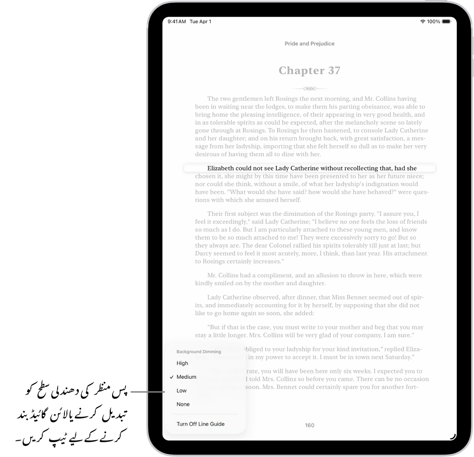کتاب ایپ میں کتاب کا صفحہ۔ ہائی لائٹ کی گئی متن کی ایک لائن اور دھندلا کیا گیا باقی متن۔ اسکرین کے نچلے بائیں کونے میں موجود لائن گائیڈ مینو بٹن۔
