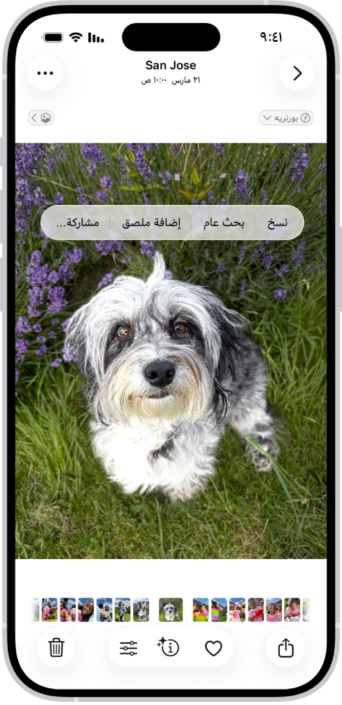 تطبيق الصور مفتوح على صورة لكلب. الكلب محدد، ويظهر الخيار إضافة ملصق في القائمة أعلاه.