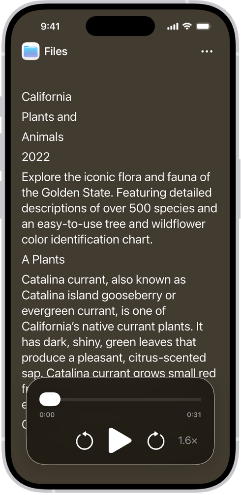 La pantalla del lector d’accessibilitat mostra text de l’app Arxius que apareix en lletres grans i el fons negre.