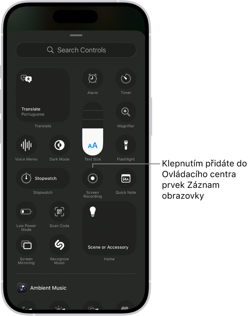 Obrazovka s ovládacími prvky, které můžete přidat do Ovládacího centra. Tlačítko Záznam obrazovky je umístěné poblíž středu.