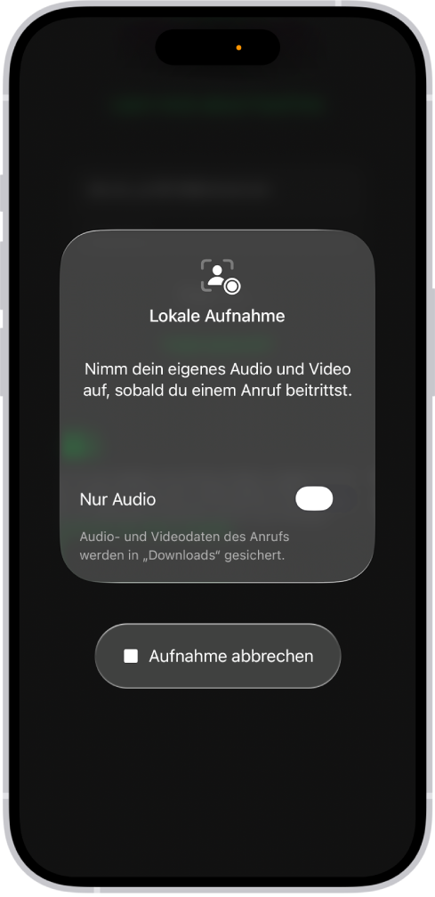 Der Bildschirm für das Starten einer lokalen Audio- und Video-Aufnahme von deiner Seite einer Videokonferenz.