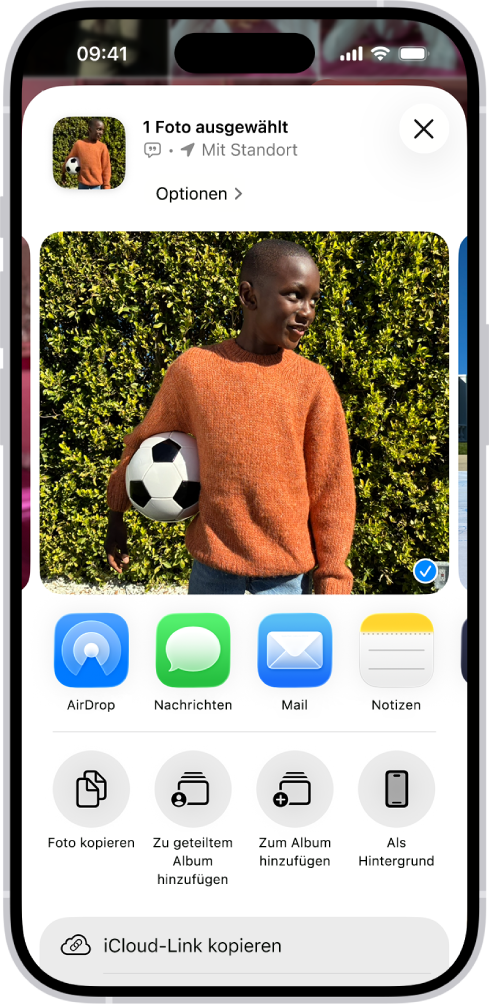Ein ausgewähltes Foto in der oberen Hälfte des iPhone-Bildschirms mit einer Reihe Optionen zum Teilen darunter. Zusätzliche Optionen werden unter diesen angezeigt, einschließlich „Foto kopieren“, „Zu geteiltem Album hinzufügen“, „Zum Album hinzufügen“ und „Als Hintergrund“.