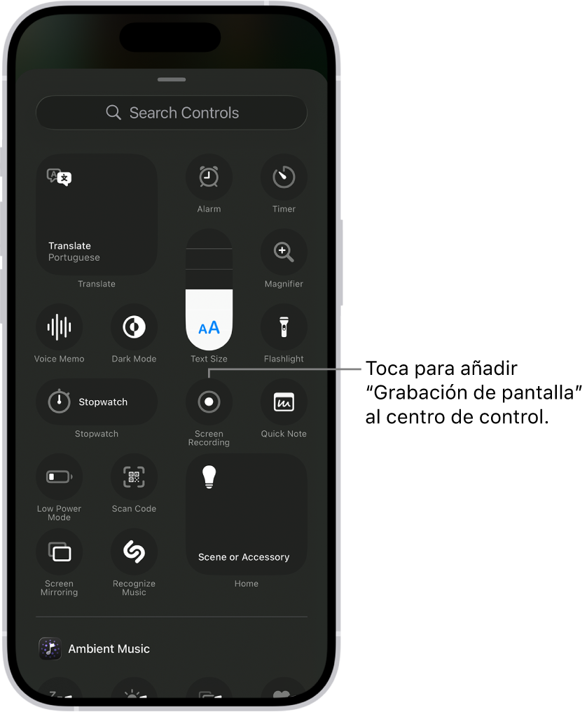 Una pantalla muestra los controles que puedes añadir al centro de control. El control “Grabación de pantalla” está cerca del centro.