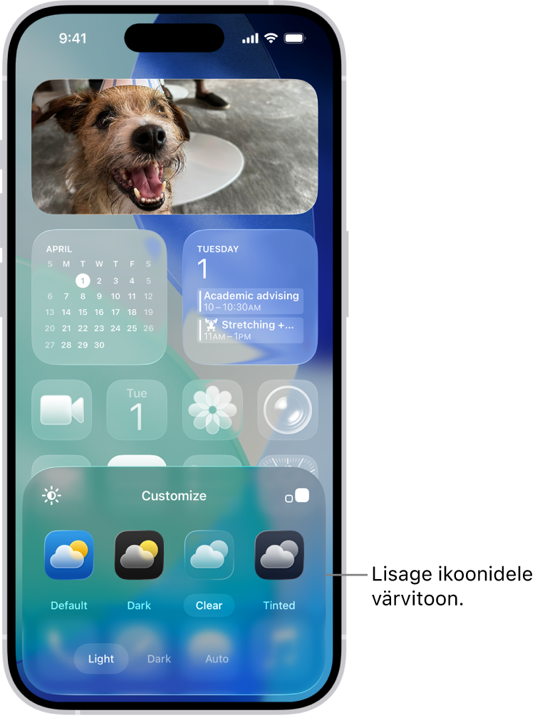 Kohandatud Home Screen-kuva, kus läbipaistvad ikoonid on sinist tooni ning korrastatud ümber foto ning ekraani allservas on ikoonide kohandamise nupud. Seal on valikud nuppudega Automatic, Dark, Light ja Tinted, valikud värvi ja küllastuse valimiseks ning nupud Small ja Large ikooni suuruse määramiseks.