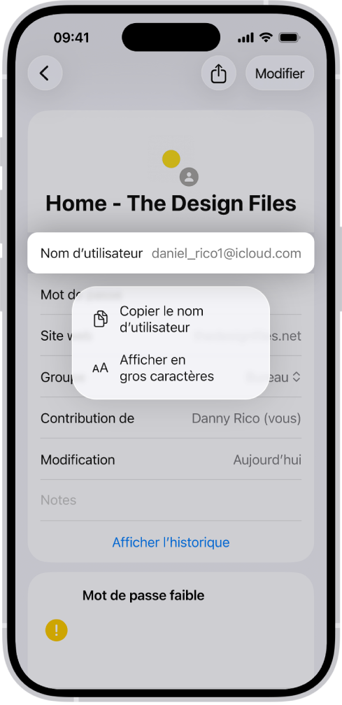 Écran de compte affichant le nom d’utilisateur en surbrillance, avec les options Copier le nom d’utilisateur et Afficher en gros caractères.