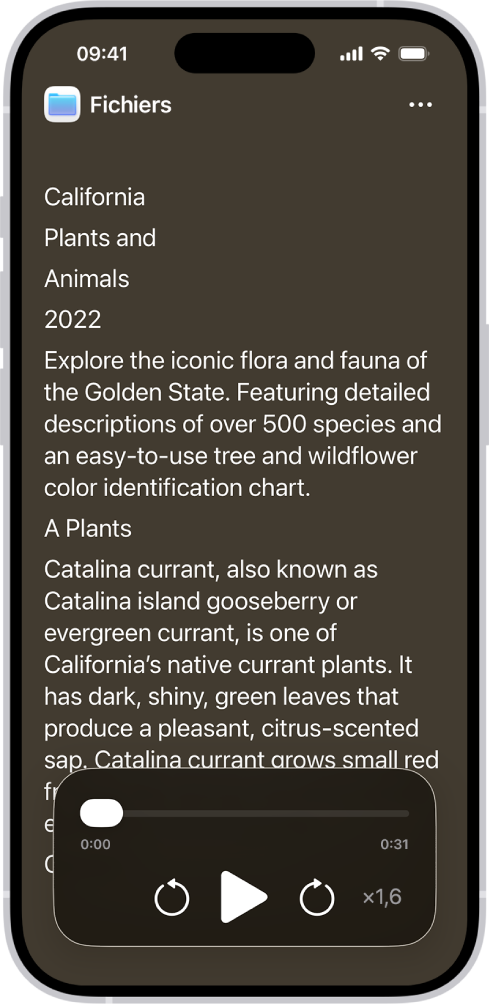 L’écran du lecteur d’accessibilité affichant du texte de Fichiers avec des grandes lettres sur un arrière-plan noir.
