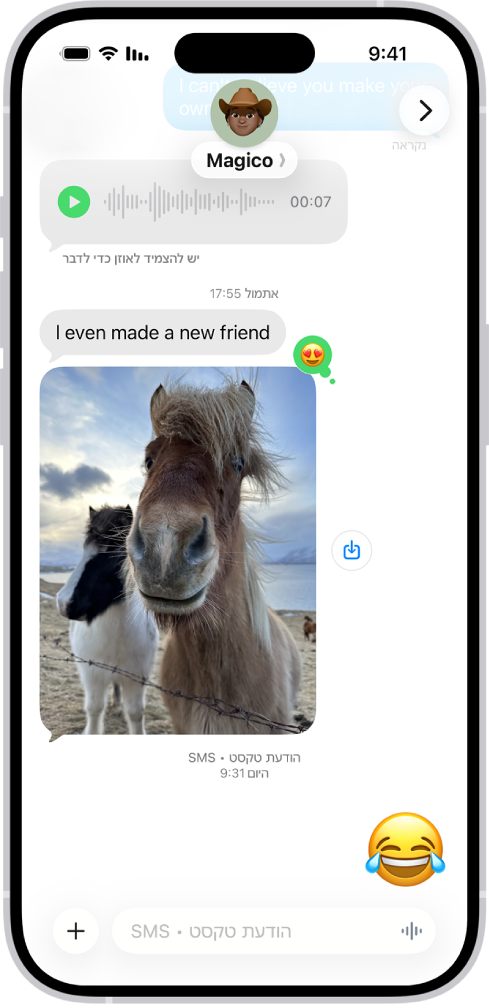 שיחה ב״הודעות״. הבועות של ההודעות ירוקות. דבר זה מציין כי האדם השני בשיחה לא משתמש ב-iMessage.