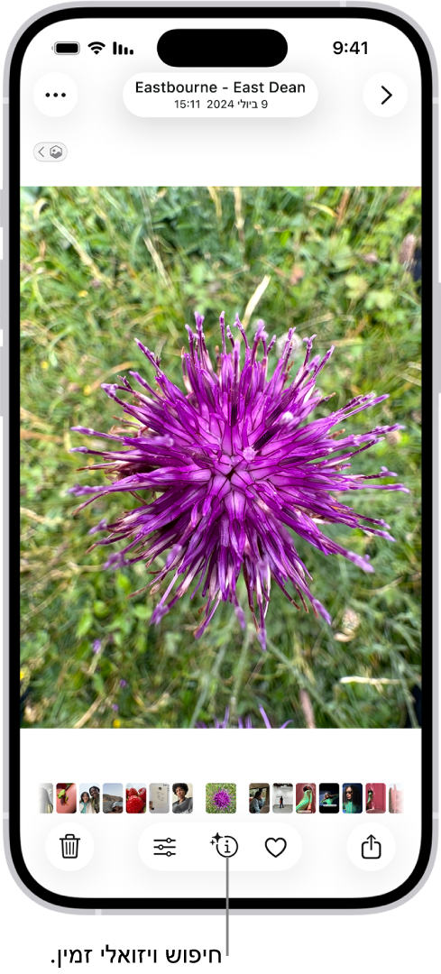 תמונה פתוחה ביישום ״תמונות״. בתחתית המסך מציג הכפתור ״פרטים״ אייקון שמסמן כי יש מידע של ״חיפוש ויזואלי נרחב״.