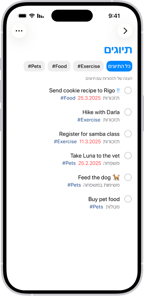 רשימה של רשימות מתויגות ביישום ״תזכורות״. כפתורים לרוחב חלקו העליון של המסך מראים תגים נוספים שניתן להחיל.