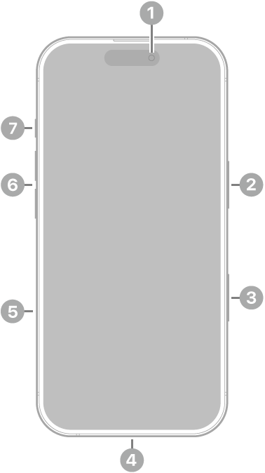 iPhone 17의 전면. 상단 중앙에 전면 카메라가 있음. 오른쪽에 측면 버튼이 있음. 하단에 USB-C 커넥터가 있음. 왼쪽에는 아래에서 위로 SIM 트레이, 음량 버튼 및 동작 버튼이 있음.