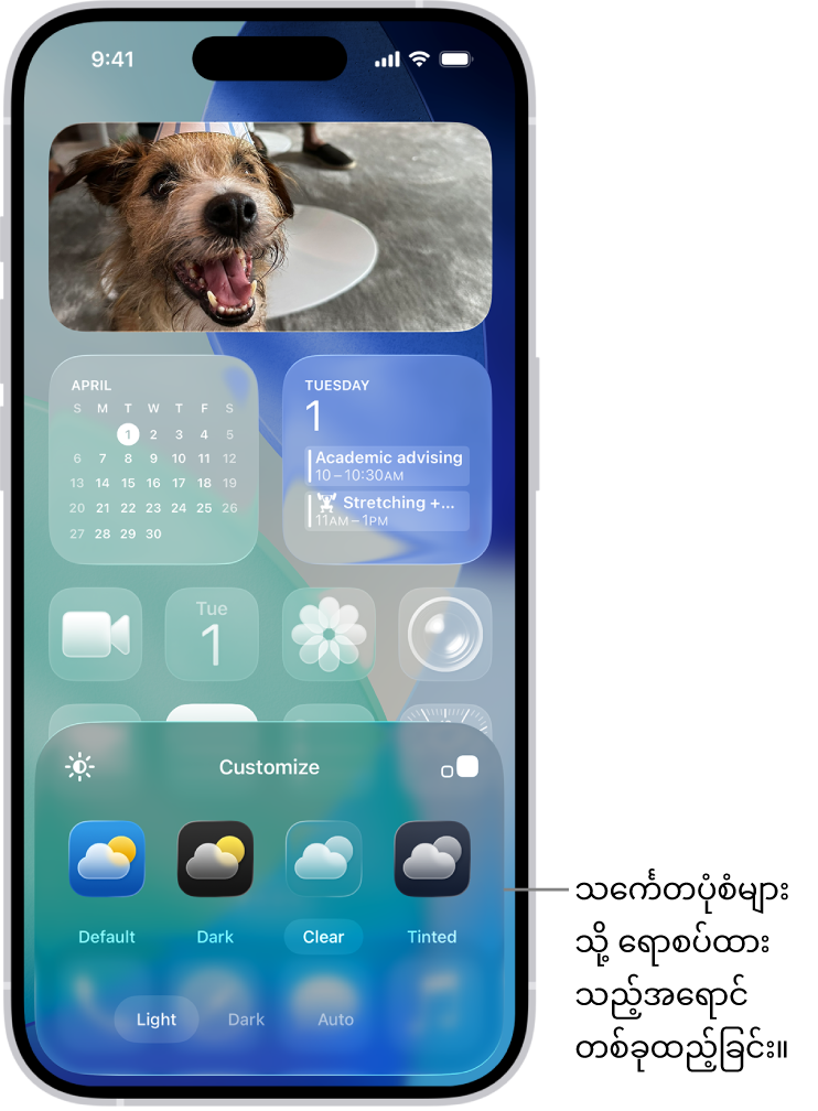ဓာတ်ပုံကိုဘောင်ခတ်ရန်အတွက် အစီအစဥ်ချထားသော အပြာရောင်ဆိုးထားသည့် သင်္ကေတများနှင့် ရှင်းလင်းသည့် သင်္ကေတများကို စိတ်ကြိုက်ပြုပြင်ရန် ဖန်သားပြင်၏အောက်ခြေရှိ ထိန်းချုပ်ခလုတ်များပါဝင်သည့် စိတ်ကြိုက်ပြုပြင်ထားသော Home ဖန်သားပြင်တစ်ခု။ ရွေးချယ်စရာများတွင် Automatic၊ Dark၊ Light နှင့် Tinted ခလုတ်များပါဝင်ကာ အရောင်နှင့်ပြည့်ဝမှုကို ရွေးချယ်သည့် ရွေးချယ်စရာများ၊ သင်္ကေတများ၏ အရွယ်အစားကိုသတ်မှတ်သော Small နှင့် Large ခလုတ်များပါဝင်သည်။