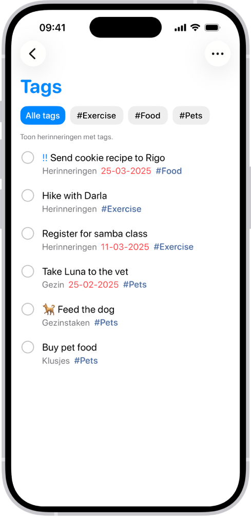 Een lijst met getagde herinneringen in de Herinneringen-app. Bovenaan staan knoppen met andere tags die je kunt gebruiken.