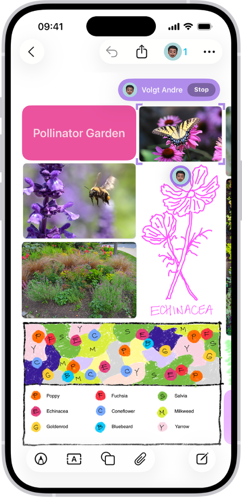 Een iPhone waarop de Freeform-app is geopend. Op het bord zie je met de hand geschreven tekst, tekeningen, vormen, foto's, video's, plaknotities, links en andere bestanden.