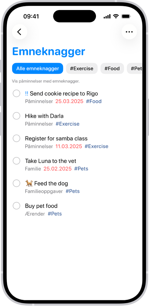 En liste med merkede påminnelser i Påminnelser-appen. Knappene langs toppen viser flere emneknagger du kan legge til.