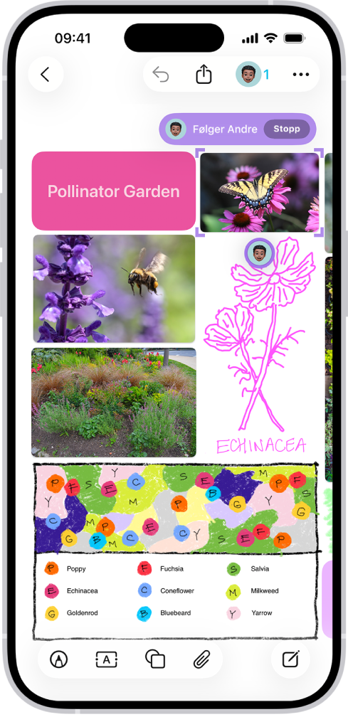 En iPhone med Freeform-appen åpnet. Tavlen inneholder håndskrift, tekst, tegninger, figurer, bilder, videoer, huskelapper, lenker og andre filer.