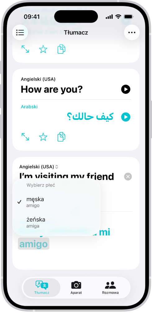 Karta Tłumaczenie, na której widoczne jest zdanie przetłumaczone z języka angielskiego na hiszpański. Wyraz z różnymi rodzajami gramatycznymi jest podkreślony kolorem szarym.