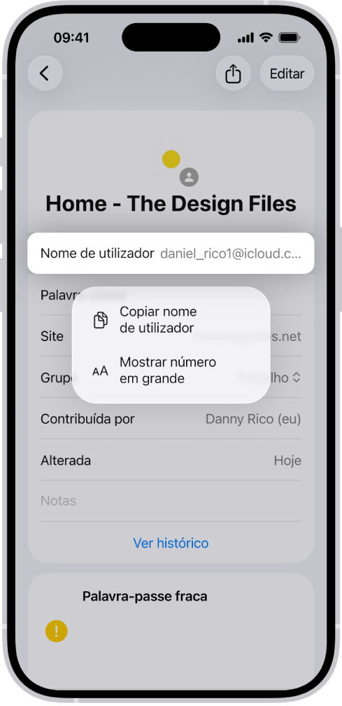 O ecrã de uma conta a mostrar o nome de utilizador realçado com opções para “Copiar nome de utilizador” e “Mostrar número em grande”.