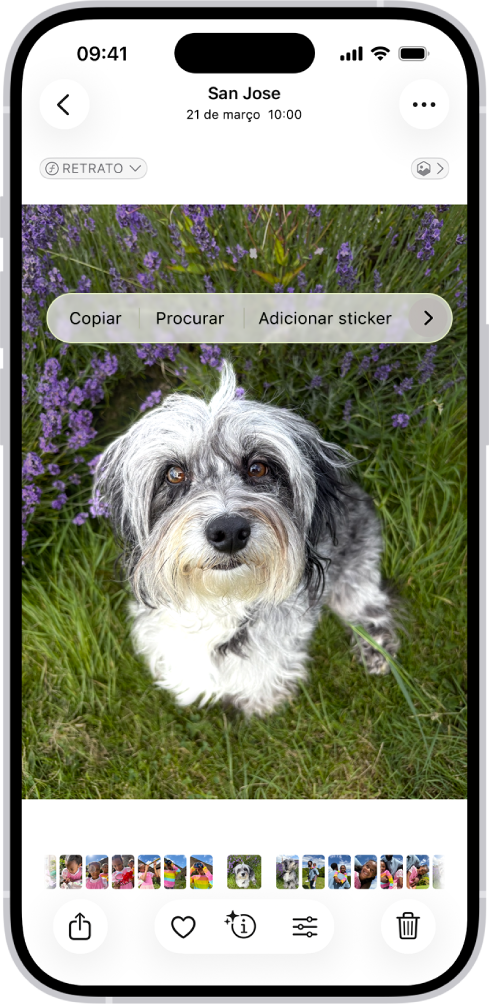 A aplicação Fotografias está aberta na fotografia de um cão. O cão está selecionado e a opção “Adicionar sticker” está disponível no menu que está por cima.