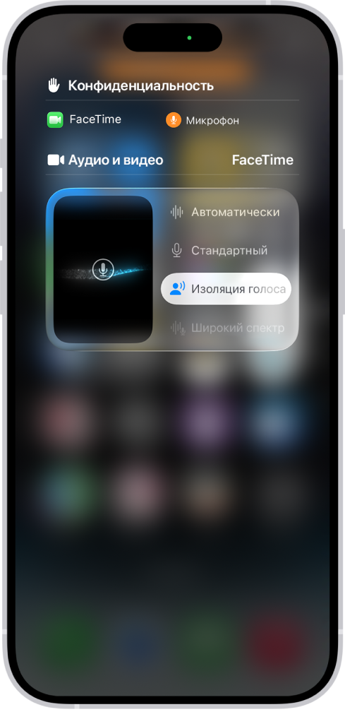 Настройки в Пункте управления для вызовов FaceTime: настройки звука «Автоматически», «Стандартное», «Изоляция голоса» и «Широкий спектр».