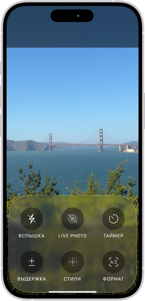 Камера в режиме «Фото». Внизу экрана показаны кнопки для следующих элементов управления камерой: «Вспышка», «Live Photo», «Таймер», «Выдержка», «Стили» и «Формат».