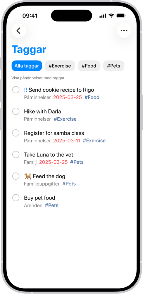 En lista med taggade påminnelser i appen Påminnelser. Knappar längs överkanten visar ytterligare taggar som du kan använda.