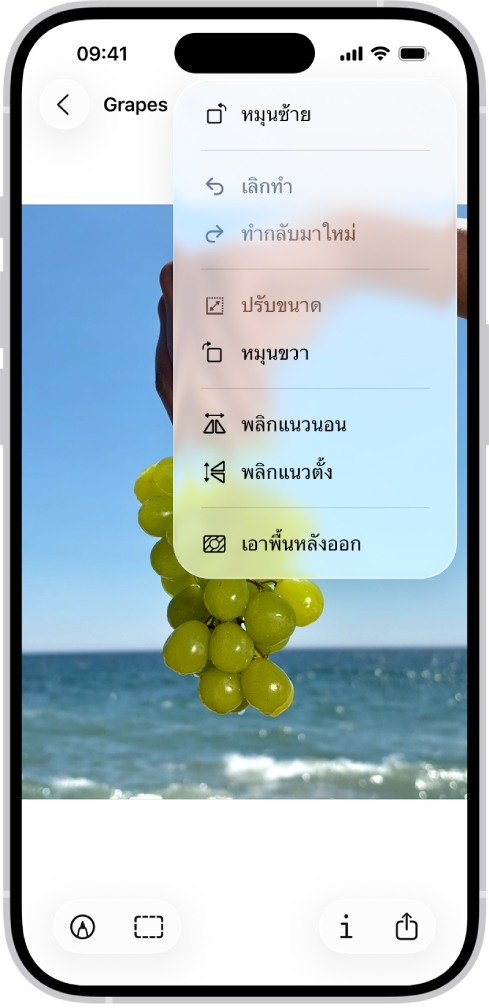 หน้าจอที่แสดงภาพที่มีองุ่นอยู่บนพื้นหน้า เมนูแสดงตัวเลือกเอาพื้นหลังออก ที่ด้านล่างสุดของหน้าจอคือปุ่มทำเครื่องหมาย ปุ่มครอบตัว ปุ่มข้อมูล และปุ่มแชร์