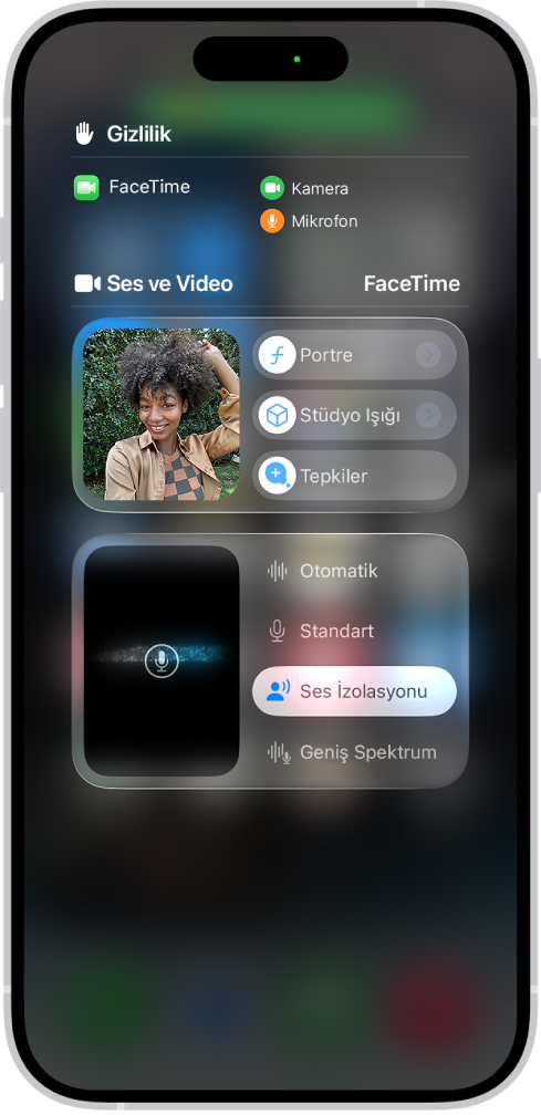 Denetim Merkezi, ses ve video efekti seçeneklerini gösteriyor.
