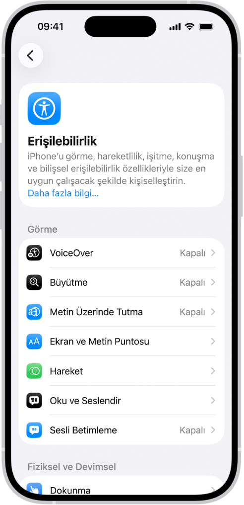 Ayarlar’daki Erişilebilirlik ekranında Görme desteği için yerleşik özellikler gösteriliyor.
