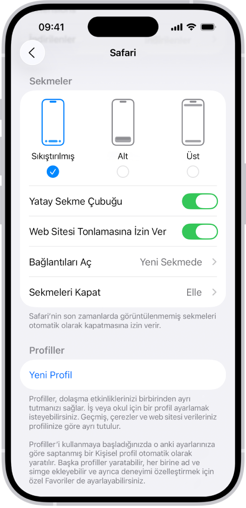 Üç Safari yerleşim seçeneğini gösteren bir ekran: Küçük, Alt ve Üst