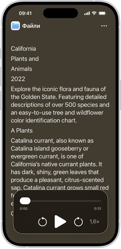 Екран Читача (Доступність), на якому показано текст із Файлів, відображений з великим шрифтом на чорному тлі.