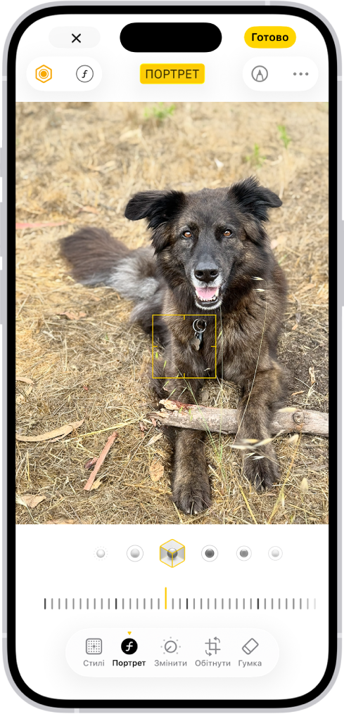 Екран «Редагування» в програмі «Фотографії» з портретом у центрі. Під фотографією показано параметри портретного освітлення. Вибрано «Студійне світло». Ще нижче є повзунок для налаштування рівня ефекту. Унизу екрана зліва направо — кнопки «Портрет», «Змінити», «Фільтри» й «Обітнути». Вибрано кнопку «Портрет».