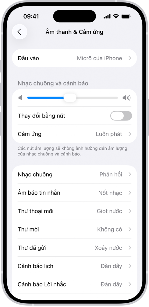 Màn hình Âm thanh và Cảm ứng trong Cài đặt.