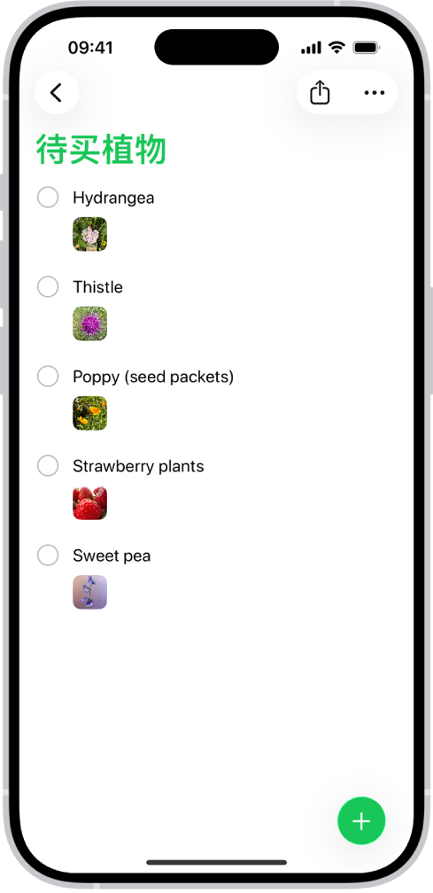 “提醒事项” App 显示列表,每个提醒事项中都带有照片。