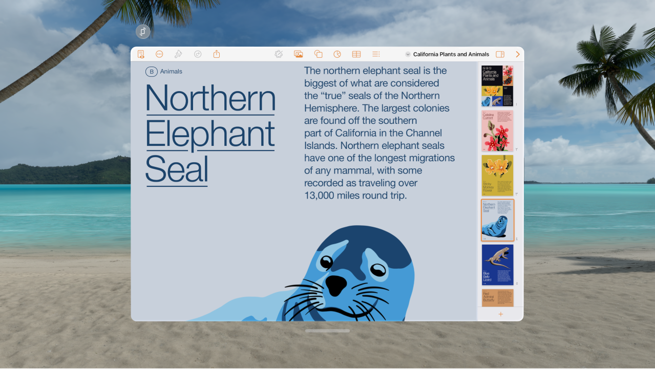 تطبيق Pages على Apple Vision Pro ويعرض مستندًا مفتوحًا وعناصر التحكم في التنسيق في الأعلى.