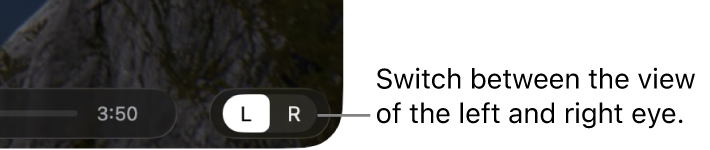 Controls in Apple Immersive Video Utility on Mac to switch between the view of the left and right eye.