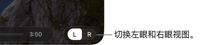 Mac 上 Apple 沉浸视频实用工具中的控制，用于在左眼和右眼视图之间切换。