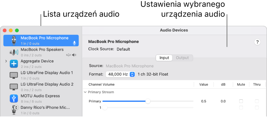 Okno Urządzenia audio.