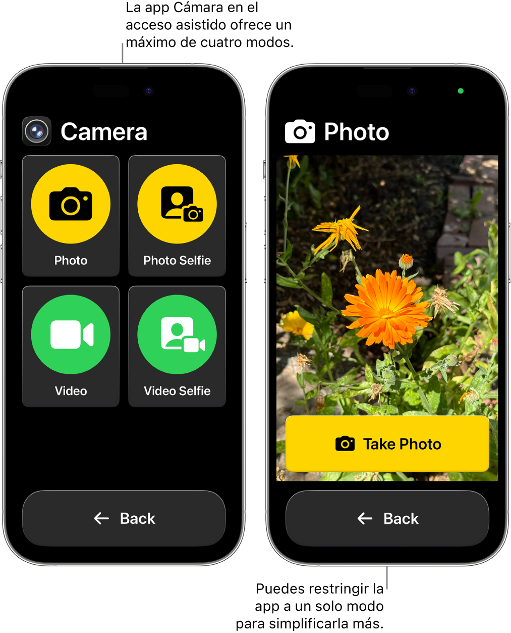 Dos pantallas de iPhone en el modo de acceso asistido. Un iPhone muestra la app Cámara con los modos de cámara que el usuario puede elegir, como Video y Selfie. El otro iPhone muestra la app Cámara con un solo modo para tomar fotos.