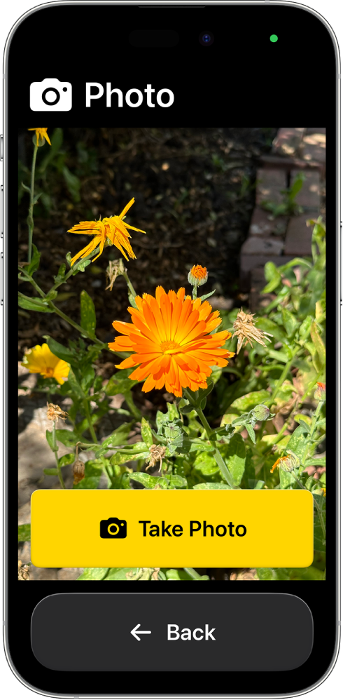 Um iPhone em Acesso assistido a mostrar a aplicação Câmara aberta com um botão grande para tirar uma fotografia e outro botão grande para voltar ao ecrã anterior.