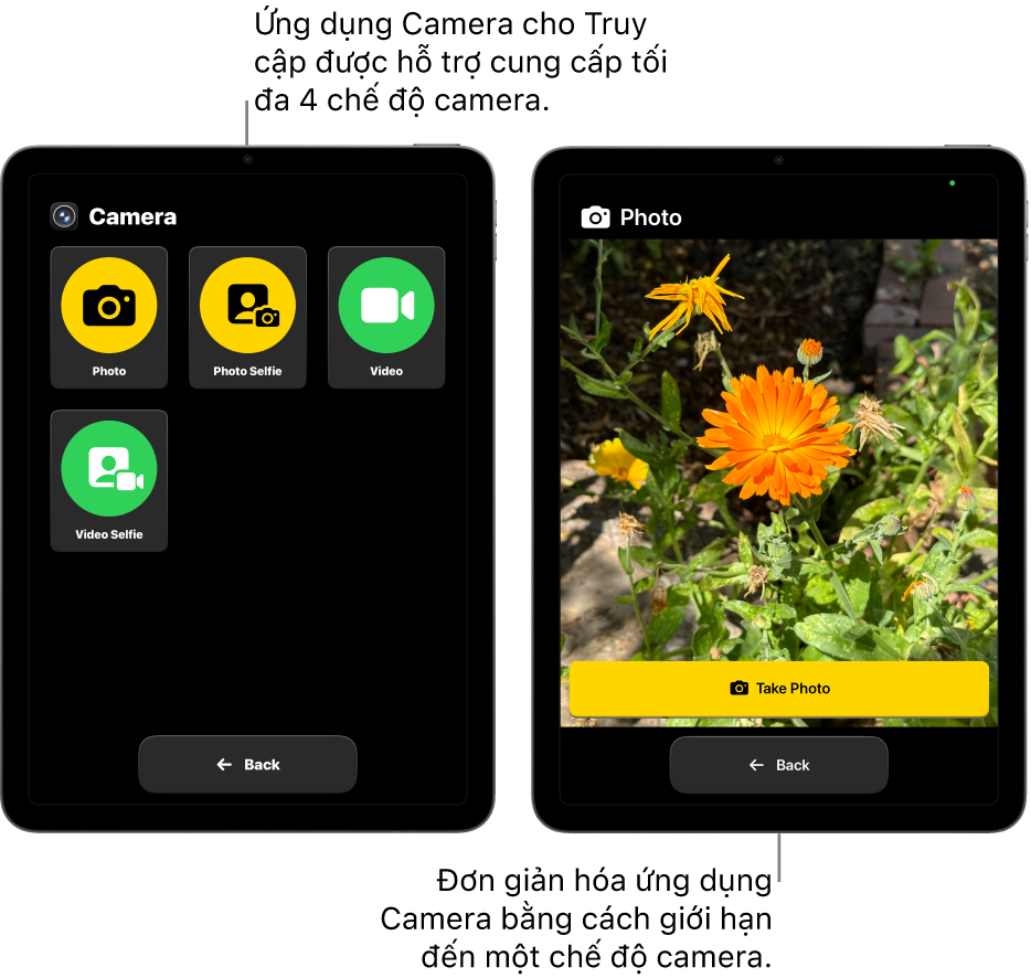Hai màn hình iPad ở chế độ Truy cập được hỗ trợ. Một iPad hiển thị ứng dụng Camera với các chế độ camera để người dùng lựa chọn, như Video hoặc Ảnh selfie. iPad còn lại hiển thị ứng dụng Camera với một chế độ duy nhất để chụp ảnh.