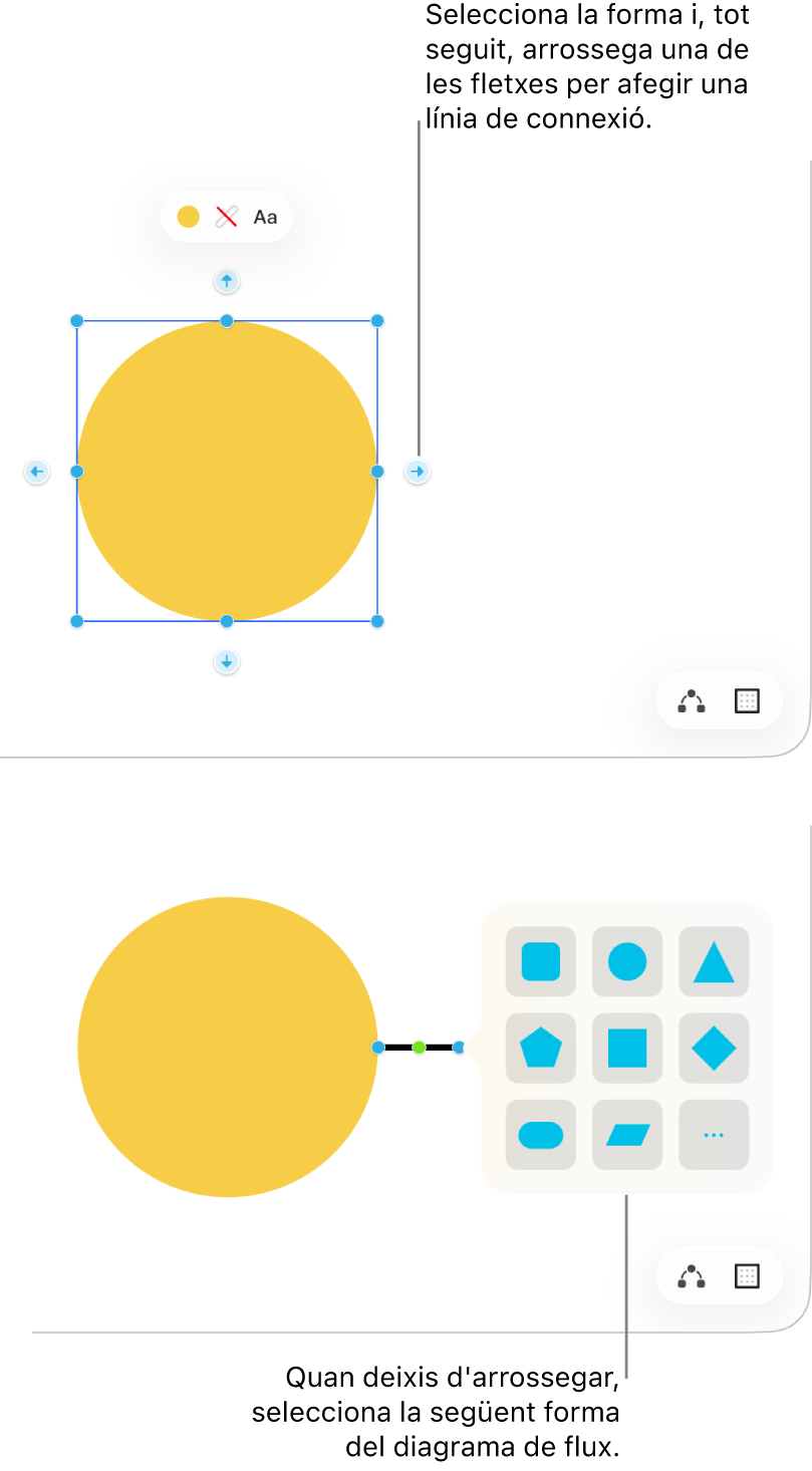 Una pissarra del Freeform mostrant dos dels passos que s’han de seguir per crear un diagrama. Al primer pas, apareixen quatre fletxes al voltant d’una forma seleccionada; arrossega’n una per afegir una línia de connexió. Al segon pas, apareix la biblioteca de formes, amb opcions per seleccionar la forma següent del diagrama.