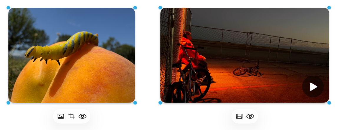 A photo and a video with the formatting tools.