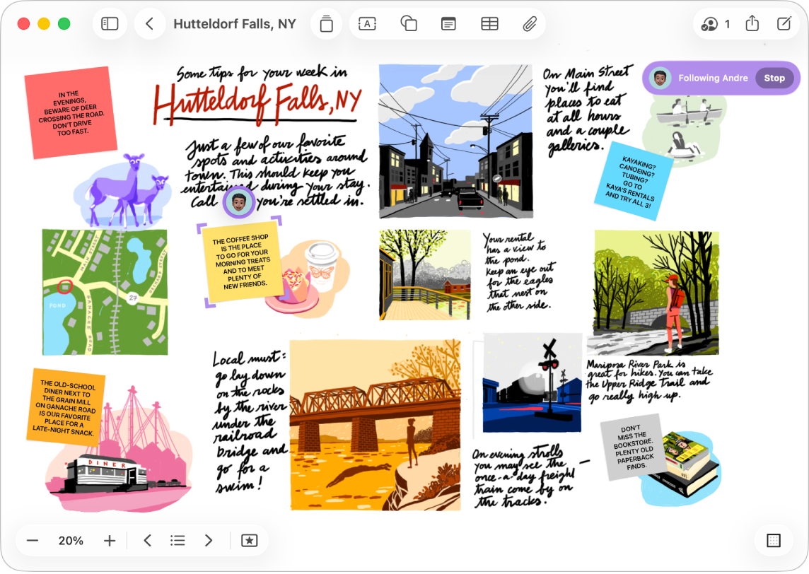 Un panou Freeform partajat. Un avatar și marcajele de colț indică locul în care lucrează un alt participant pe panou.